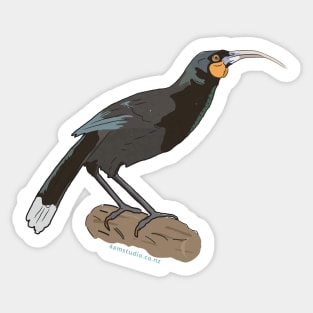 Hand Drawn New Zealand Huia Bird Sticker